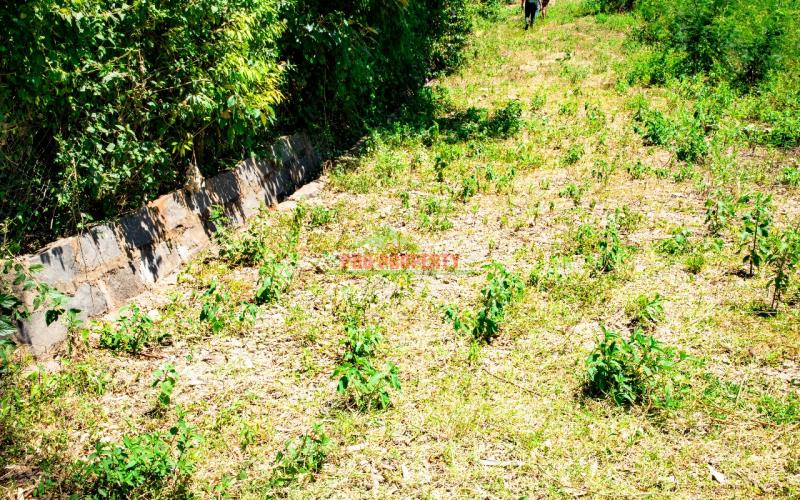 Residential Serviced Plot For Sale In A Controlled Gated Estate In Kikuyu, Gikambura.