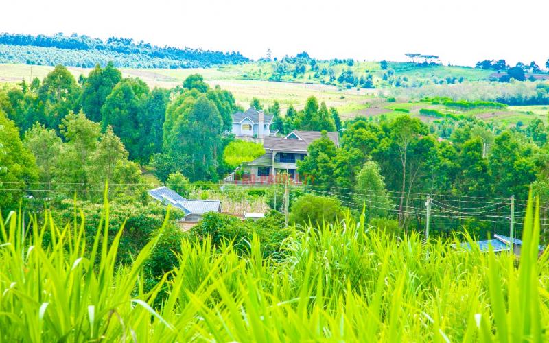 Prime Residential Plots For Sale In Kikuyu, Karai-migumoini Area.