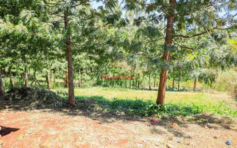 Prime Commercial Plot For Sale In Kikuyu, Kidfarmaco