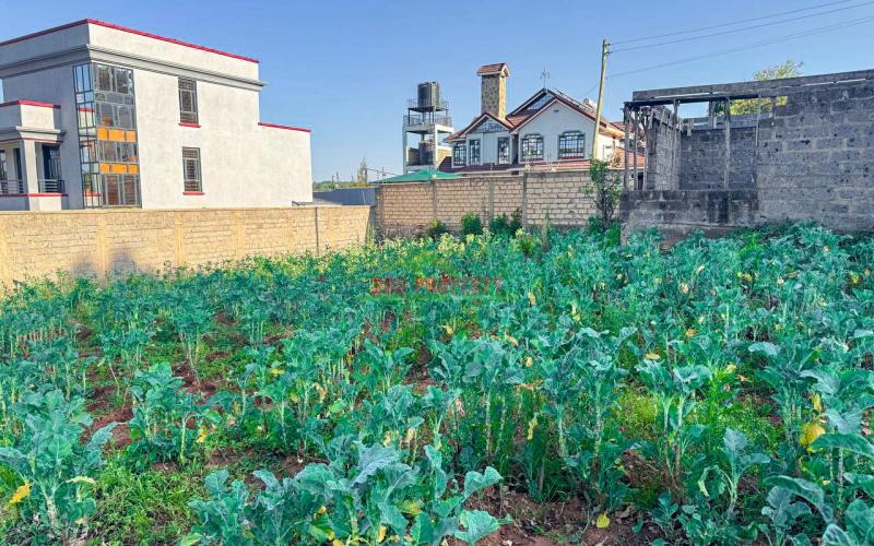 Prime Residential Plot for Sale in Kikuyu, Gikambura