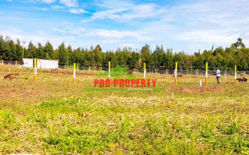 Prime Residential 50 By 100fts Plots For Sale In Kikuyu, Nachu