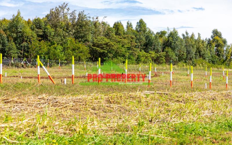 Prime Residential 50 By 100fts Plots For Sale In Kikuyu, Nachu