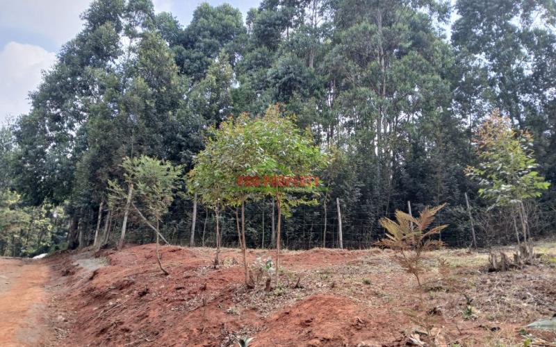 Prime Residential Plot In Thogoto