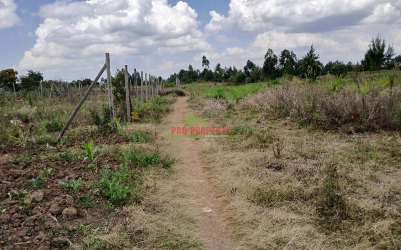 Prime Residential Plot In Kamangu