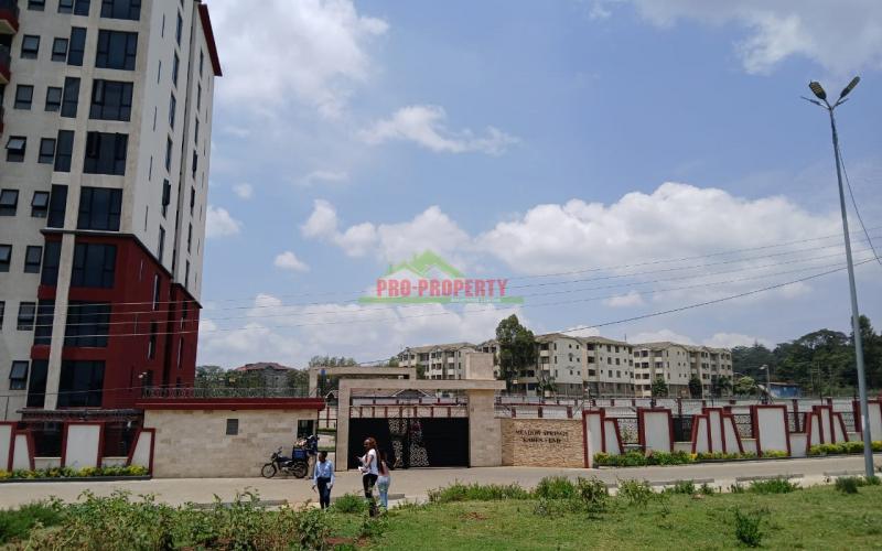 A Commercial Plot With High Foot Traffic In Karen End