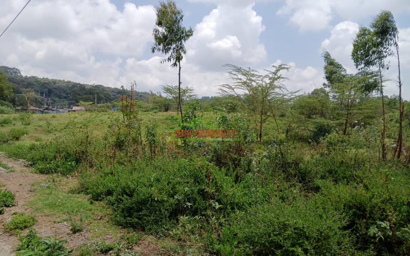 A Commercial Plot With High Foot Traffic In Karen End