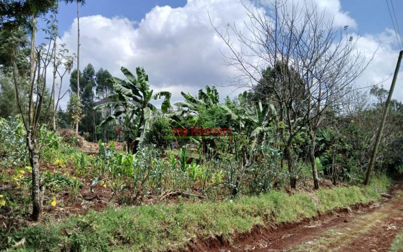 Prime Commercial Plot In Gitaru