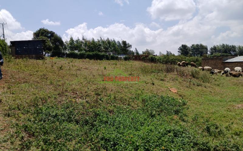 Prime Plot In Ondiri, Kikuyu