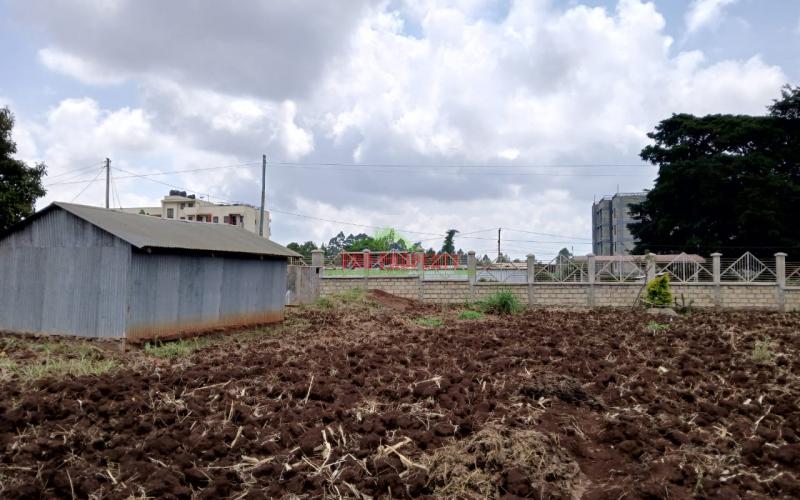 Prime Commercial Plot In Gitaru