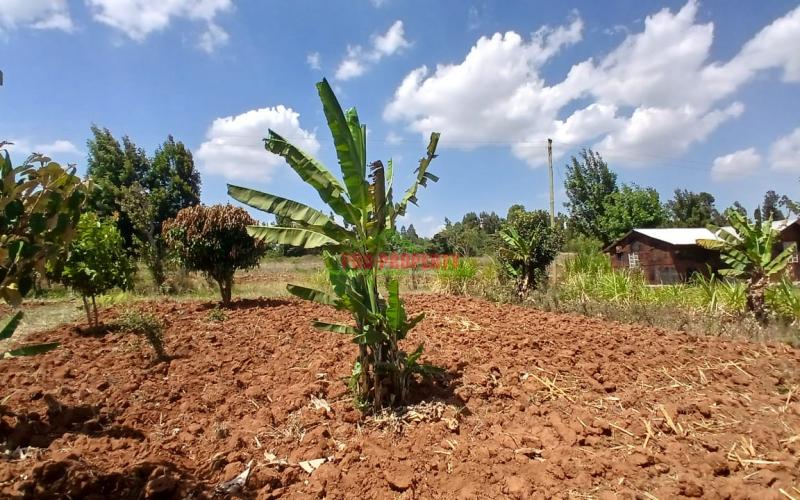 Prime 50by100ft residential plot for sale in Kikuyu, Lusingetti