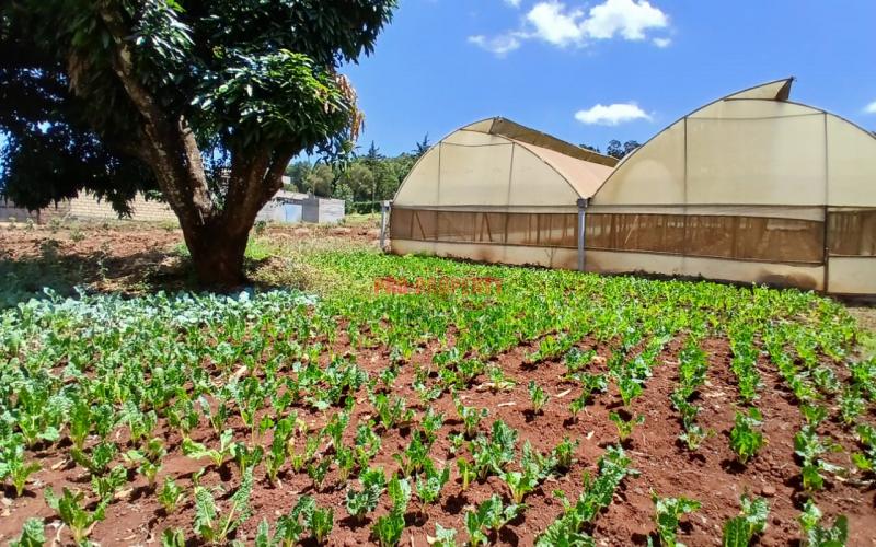 1/4acre Residential Plot For Sale