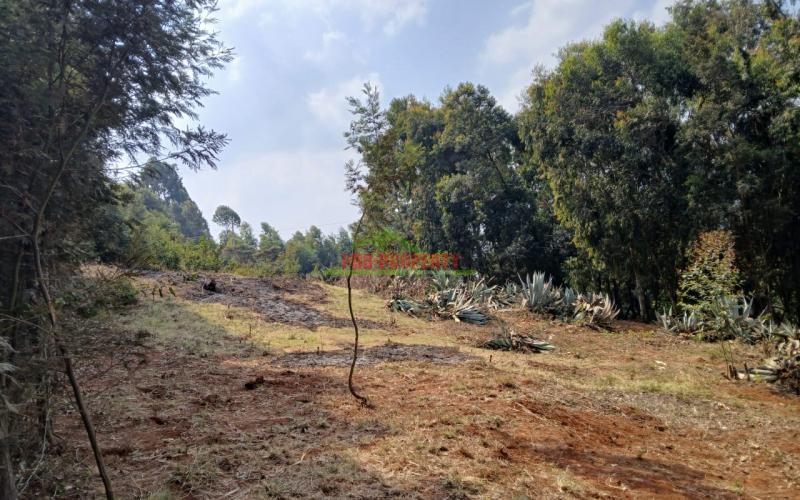 Prime Residential Plot In Thogoto