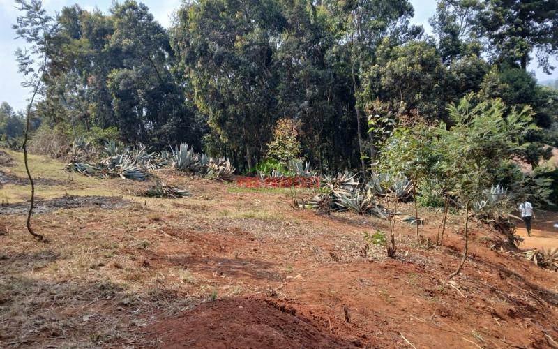 Prime Residential Plot In Thogoto
