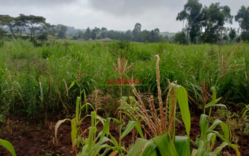Prime 50by100ft Residential Plot For Sale In Kikuyu, Gikambura.