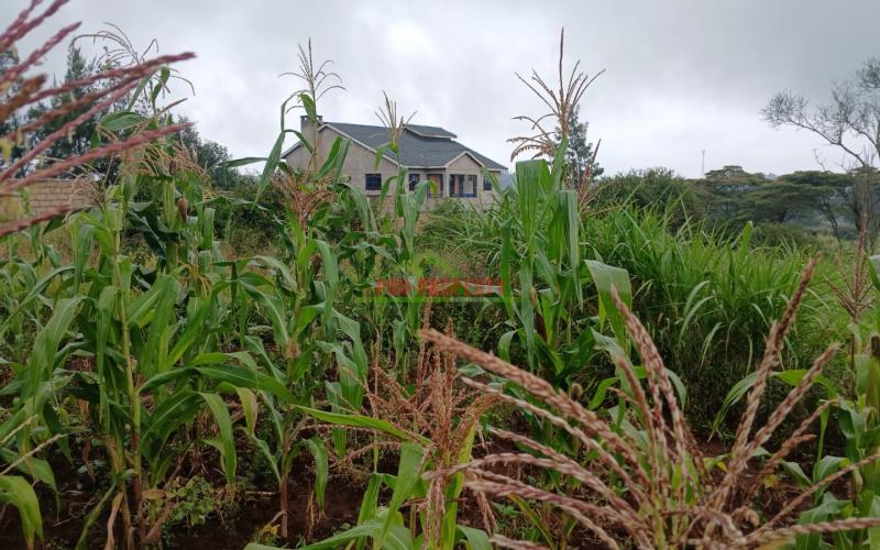 PRIME 50by100ft residential plot for sale in Kikuyu, gikambura.