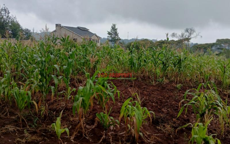 Prime 50by100ft Residential Plot For Sale In Kikuyu, Gikambura.