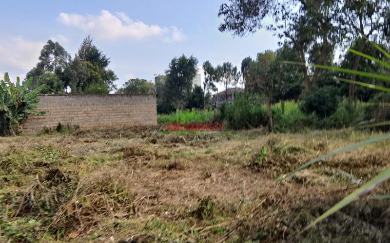 Prime Residential 50 By 100 Plot For Sale