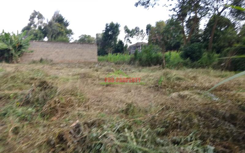 Prime Residential 50 By 100 Plot For Sale