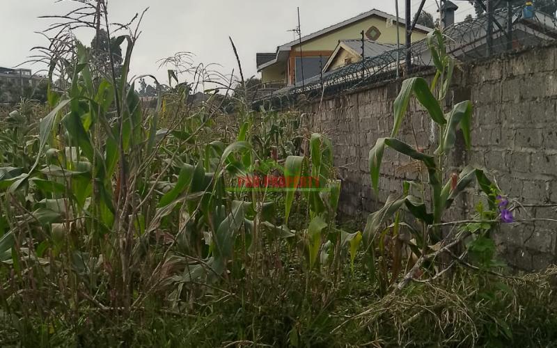 Prime Residential 50 By 100 Plot