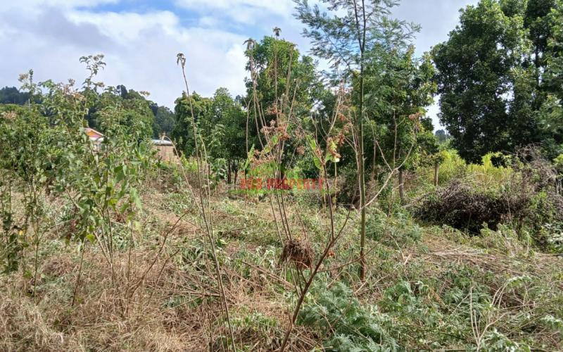 Prime Residential Plot In Mugumo-ini