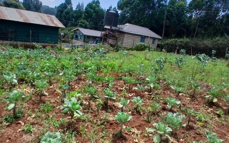 Prime 50 By 100 Residential Plot In Kikuyu Migumoini Area