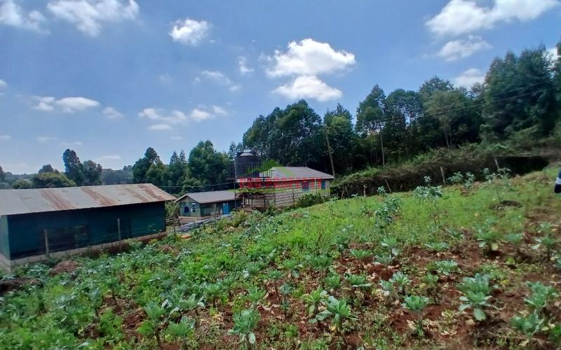 Prime 50 By 100 Residential Plot In Kikuyu Migumoini Area