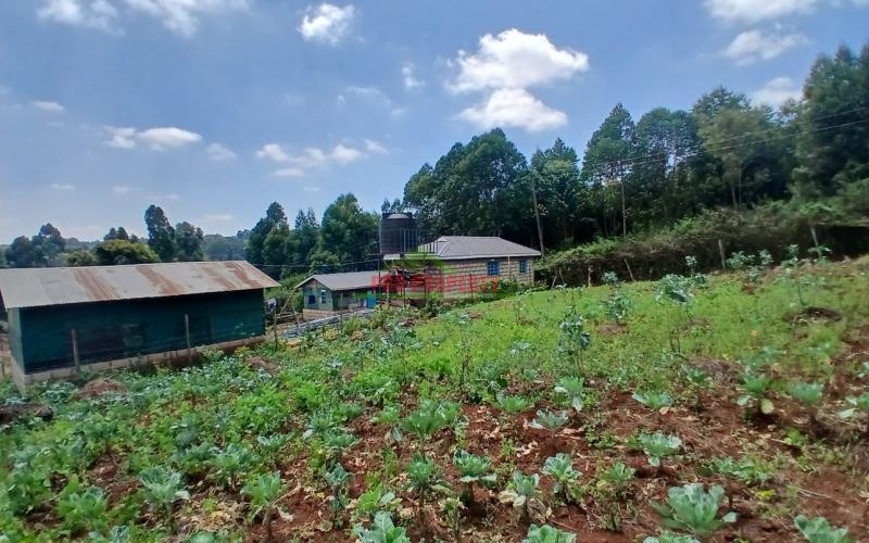 Prime 50 By 100 Residential Plot In Kikuyu Migumoini Area