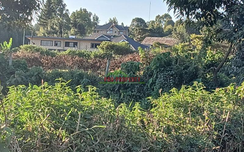 Prime 50 by 100 Residential Plot In Kikuyu Migumoini Area