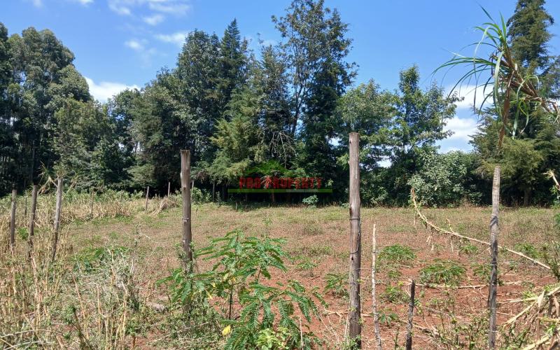 Prime 50 By 100 Residential Plots For Sale In Kikuyu Ondiri