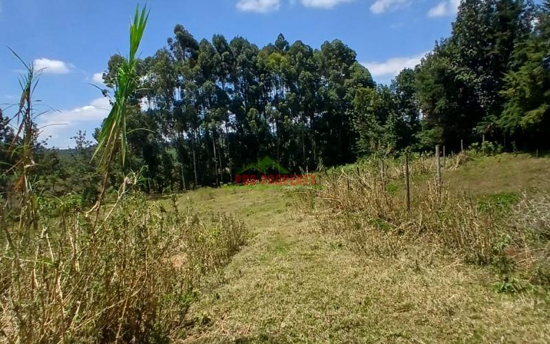 Prime 50 By 100 Residential Plots For Sale In Kikuyu Ondiri