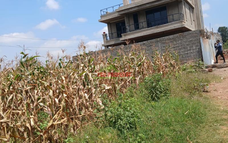 Prime  40 by 80 Plot For Sale In Kikuyu Gikambura