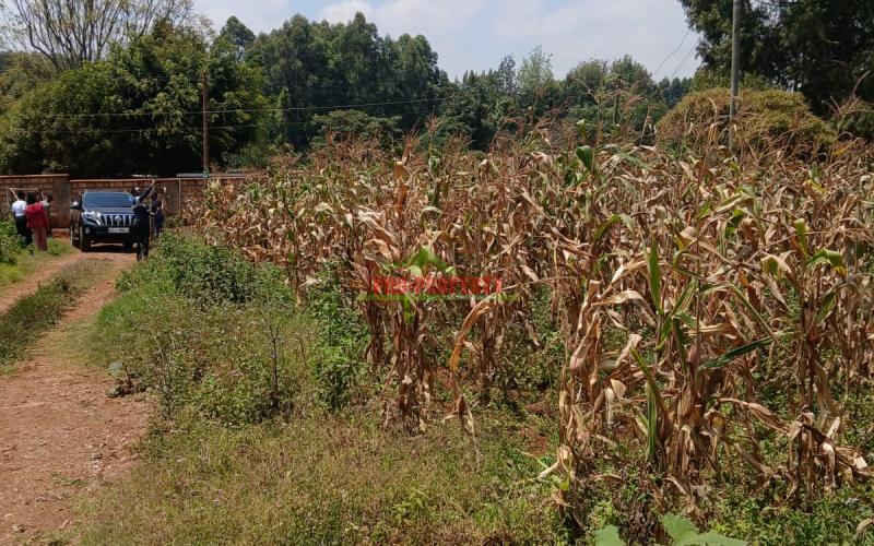 Prime  40 By 80 Plot For Sale In Kikuyu Gikambura