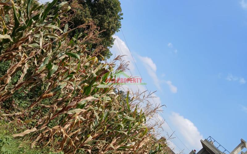Prime  40 By 80 Plot For Sale In Kikuyu Gikambura