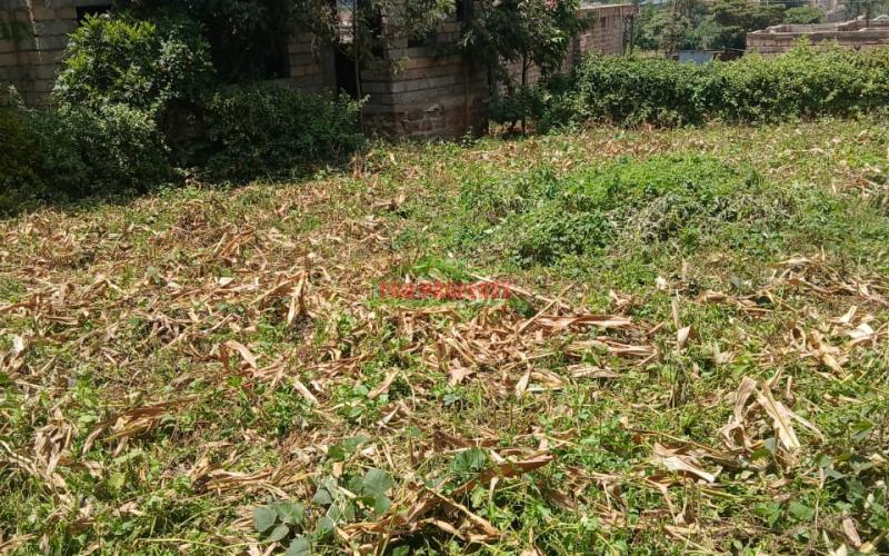 Prime Residential 50 By 100 Plot For Sale In Kikuyu Gikambura (karie)
