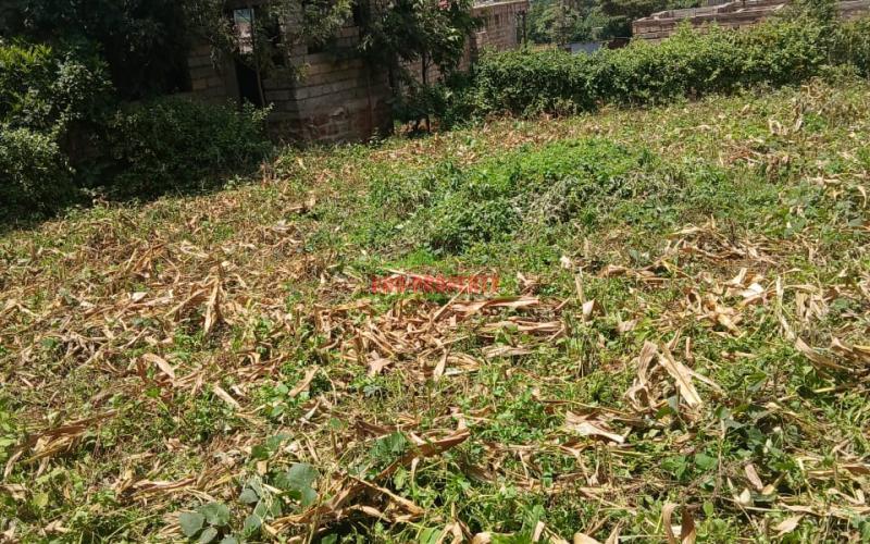 Prime Residential 50 By 100 Plot For Sale In Kikuyu Gikambura (karie)