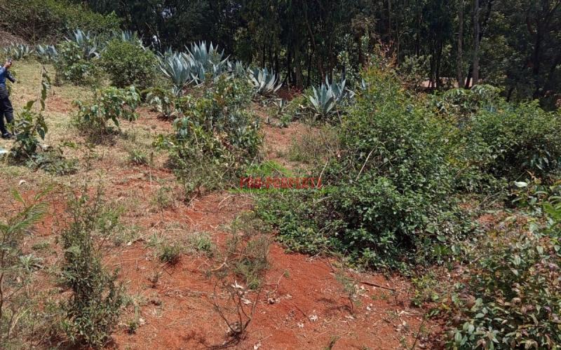 Prime Residential 50 By 100 Plot For Sale In Kikuyu Gikambura(mai-ii-ihii)