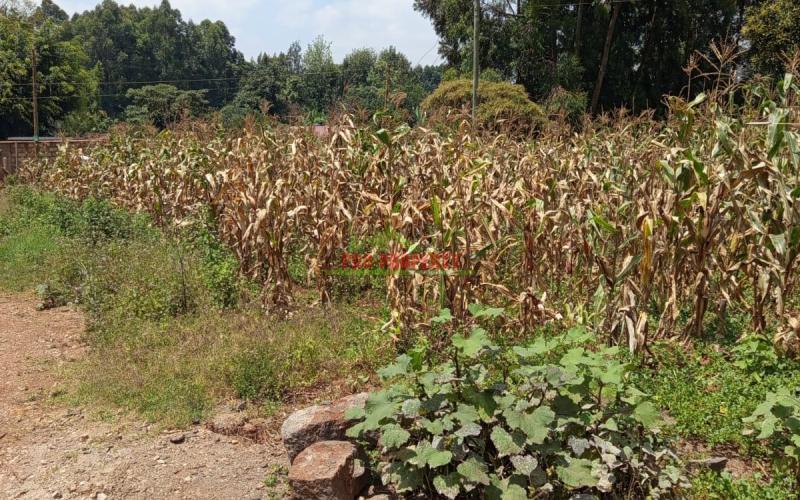 Prime Residential 40 By 80 Plot For Sale In Kikuyu Gikambura (musa Gitau Area)