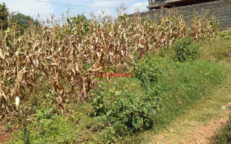 Prime Residential 40 By 80 Plot For Sale In Kikuyu Gikambura (musa Gitau Area)