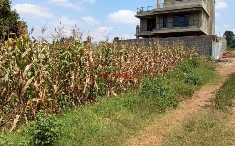 Prime residential 40 by 80 plot for sale in Kikuyu Gikambura (musa gitau area)
