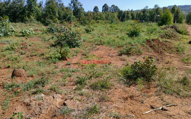 Residential Plot For Sale In Ndigu-ini