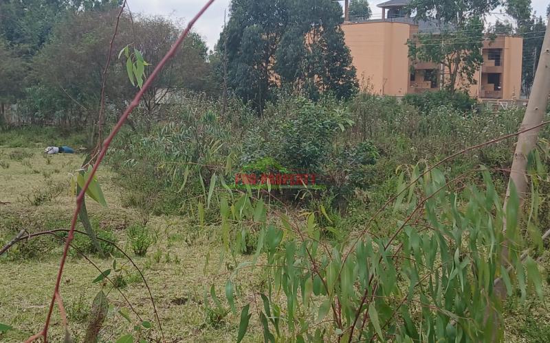 Real Estate Investment Opportunity In Karen-end