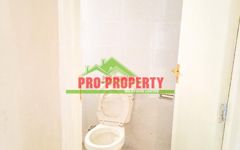 A1 Mansion For Sale In Nairobi Ndogo, Gikambura