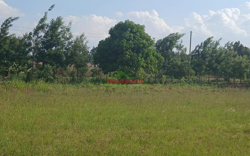 Ready To Build Plots For Sale In Kamangu