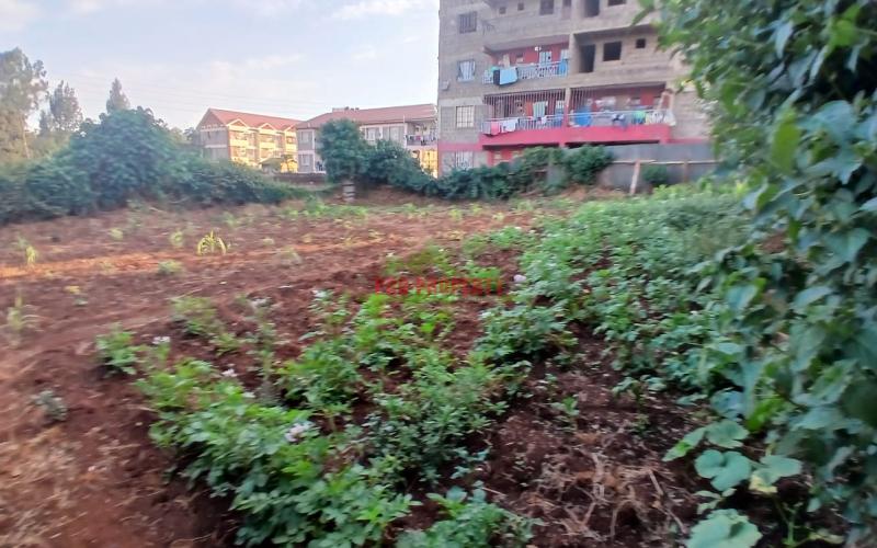 READY TO DEVELOP COMMERCIAL PROPERTY FOR SALE IN KINOO