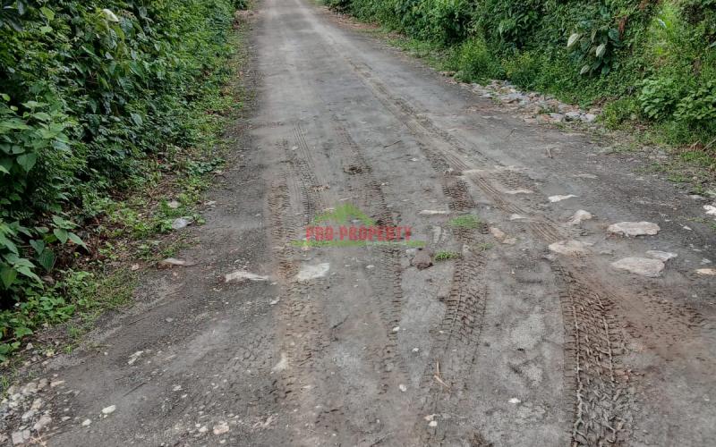 Residential  50by100 Ft Plots For Sale In Kikuyu, Gikambura