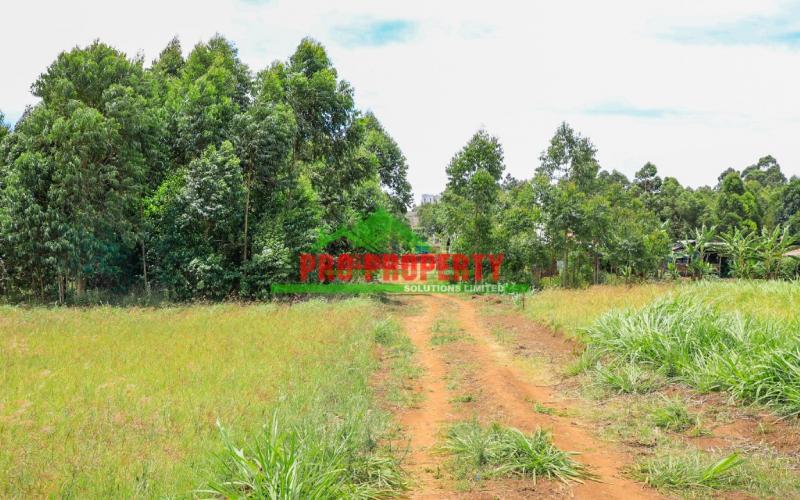 Prime Residential 50 By 100fts Plots For Sale In Kikuyu,kamangu-koinange