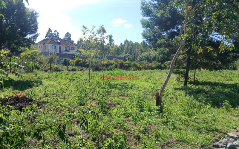 Prime Residential 50x100fts Plot For Sale In Kikuyu,gikambura-jambu Tv