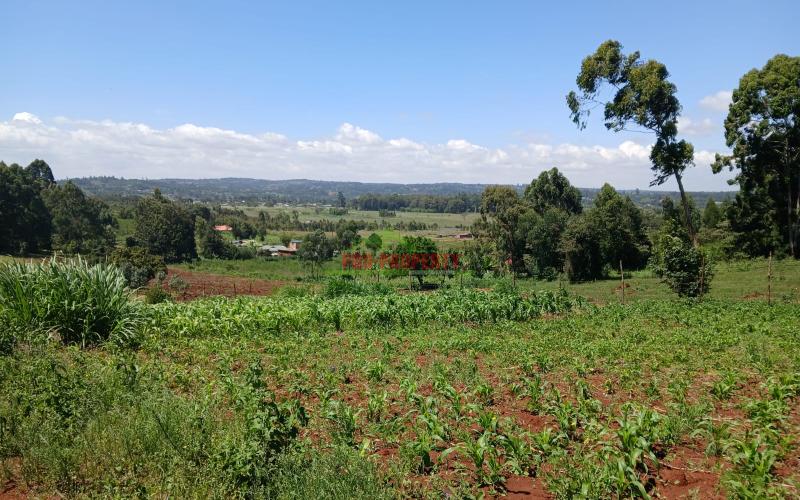 Prime 100 By 100ft  Residential  Plot For Sale In Kikuyu,gikambura