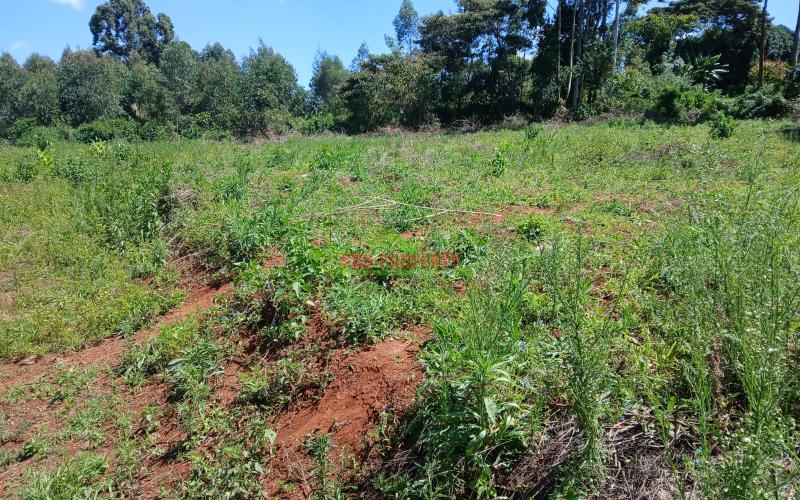 Prime 100 by 100ft  residential  plot for sale In Kikuyu,Gikambura