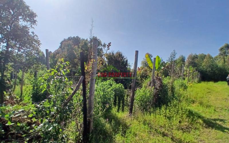 Ready To Build Plots For Sale In Lusingeti